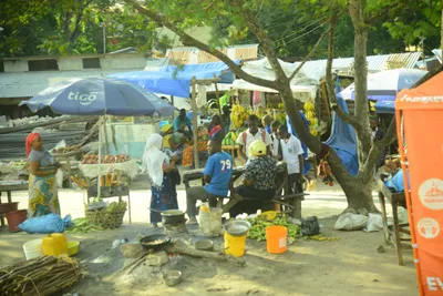 DSC_7746 (Large).JPG